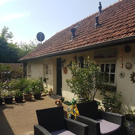 De Boerebeemd Bed and Breakfast Lieshout Eksteriør billede