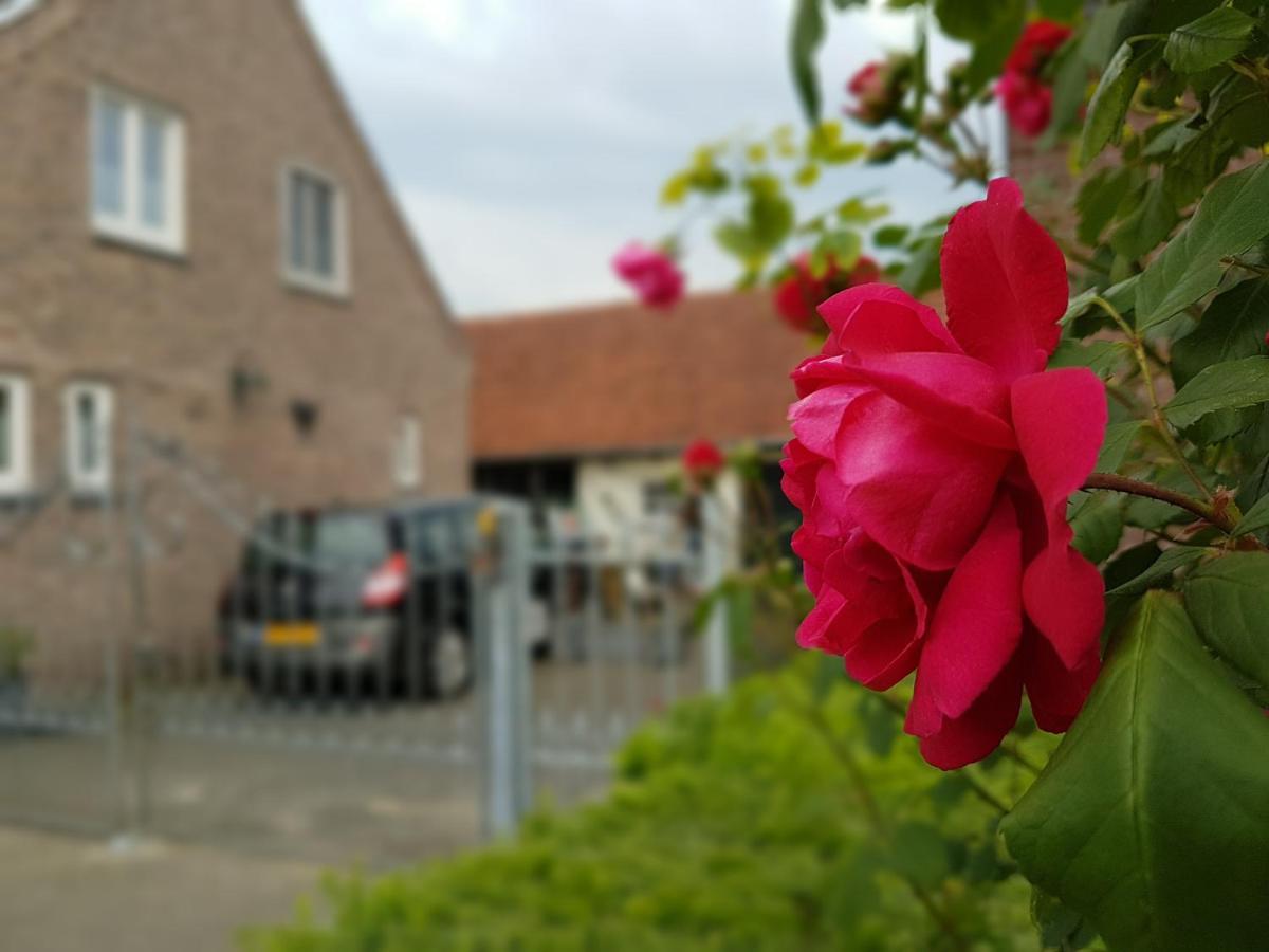 De Boerebeemd Bed and Breakfast Lieshout Eksteriør billede