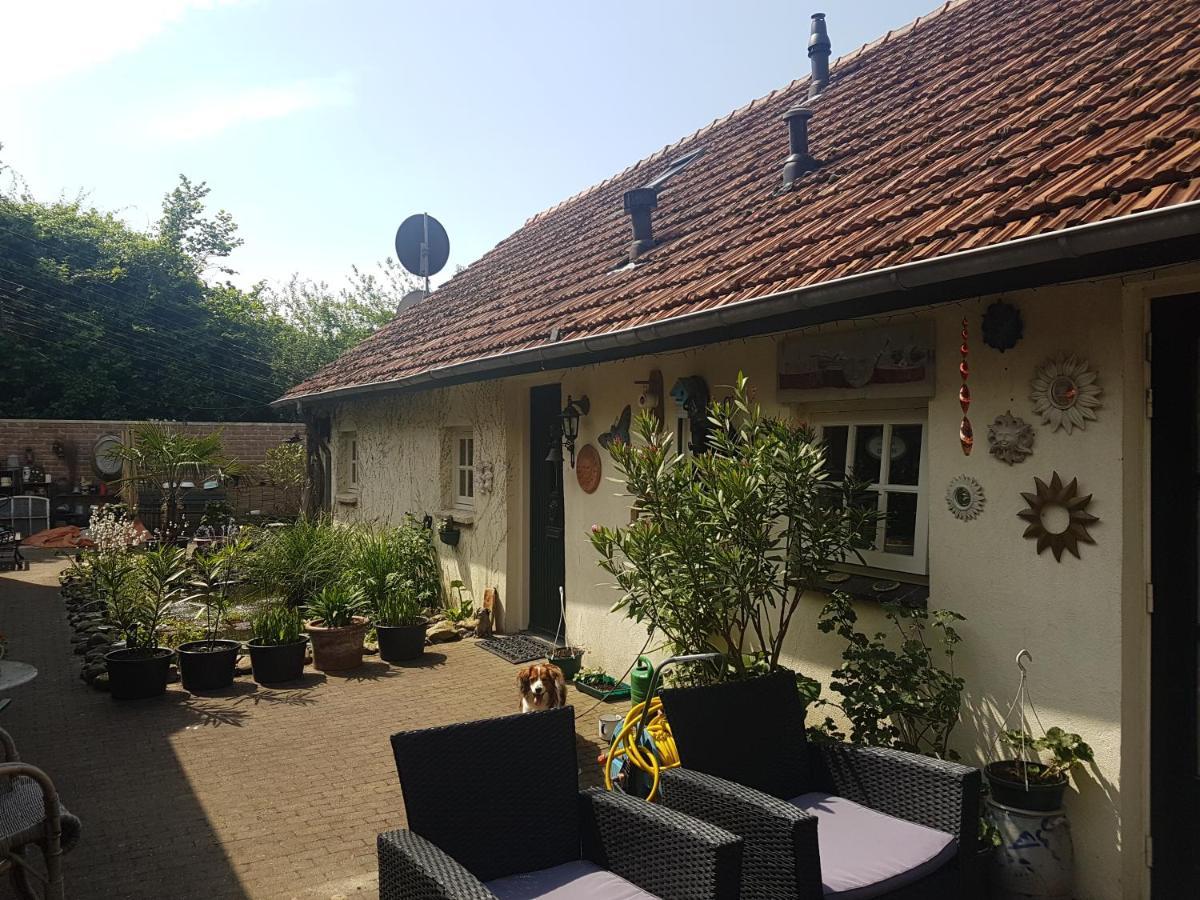 De Boerebeemd Bed and Breakfast Lieshout Eksteriør billede